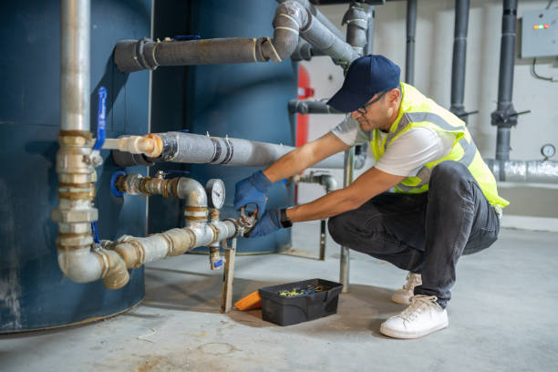 Best Emergency Plumbing Services in Las Lomas, TX